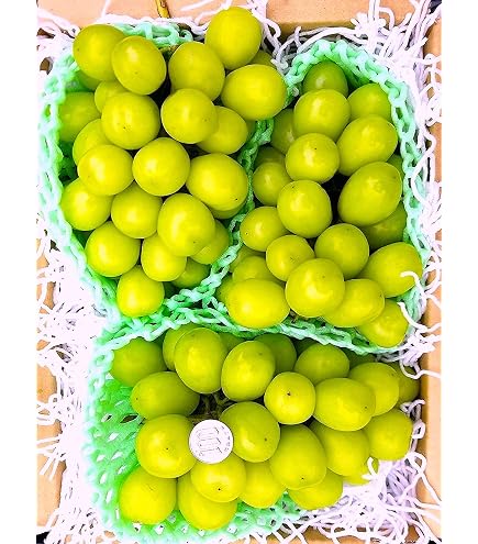 Amazon.co.jp: 【 糖度：22度の別世界 】 山梨県産 豪華 シャイン